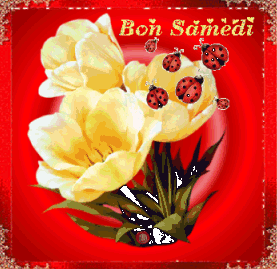 Gif animé Bon samedi fleurs coccinelle